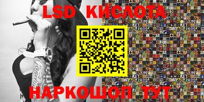 Альфа ПВП Будённовск