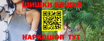 Альфа ПВП Будённовск